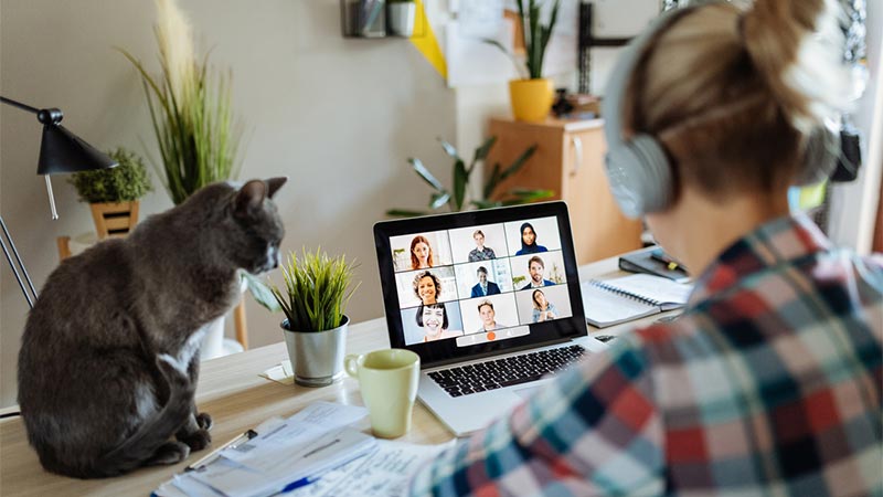 telewerk, energiefactuur